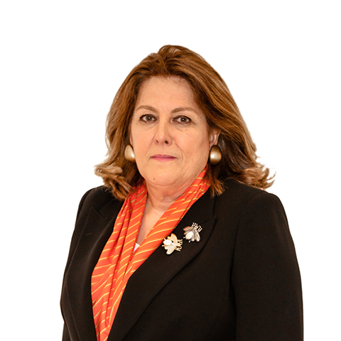 Lisa Méndez Moreno